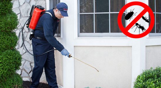 Babadağ Gümüşkurt İlaçlama böcek ilaçlama ve haşere kontrolü — ilaclama-tr.com